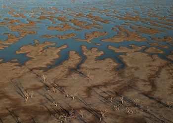 El documento también señala que la caída en la productividad por la crisis climática. | Fuente externa.