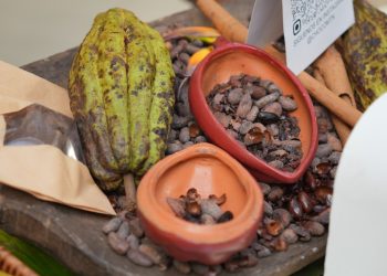 Más de 18 marcas participarán en la sexta edición del Festival del Chocolate Dominicano.