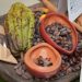 Más de 18 marcas participarán en la sexta edición del Festival del Chocolate Dominicano.
