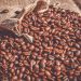 Brasil, el mayor productor y abastecedor mundial del grano, exportó el año pasado a 122 países. Pixabay.