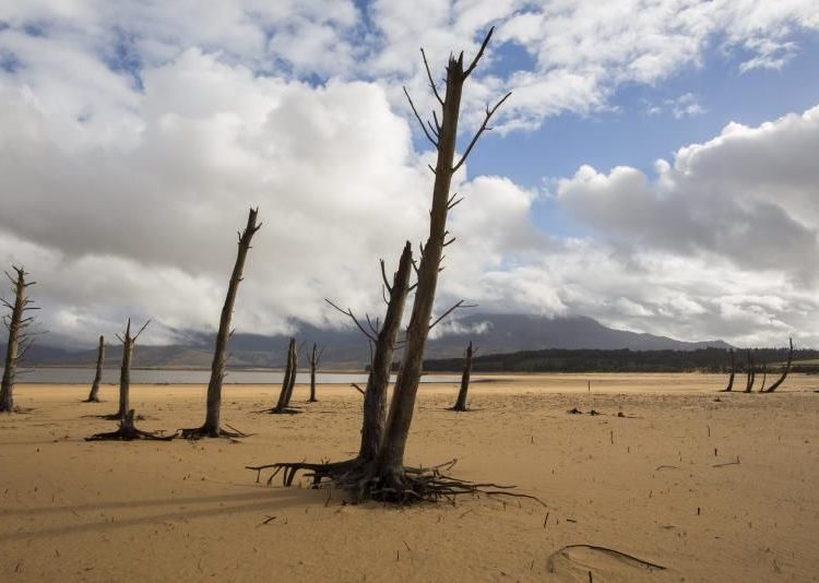Cambio climático
