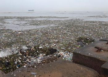 Cantidad de basura entrada del canal.