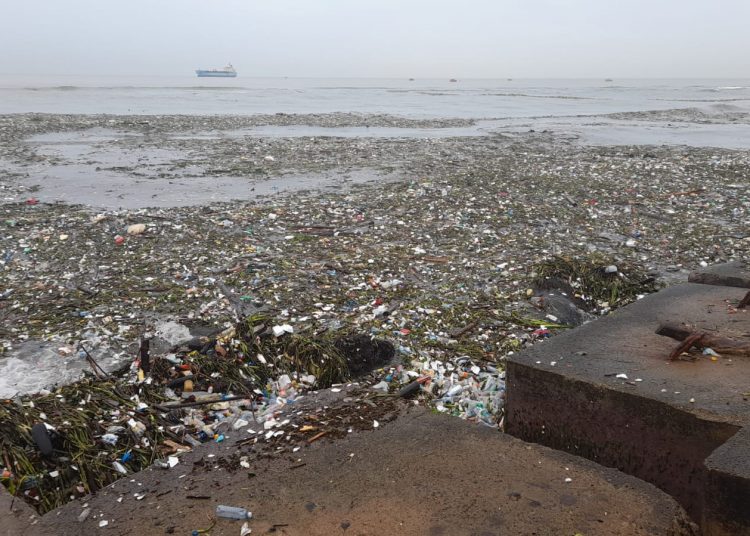 Cantidad de basura entrada del canal.