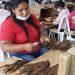 Capacitación de mujeres en la confección de tabaco por la empresa Tabacos Vega del Rey, la primera que se instalará en el parque Zona Franca Industrial de Cotuí.