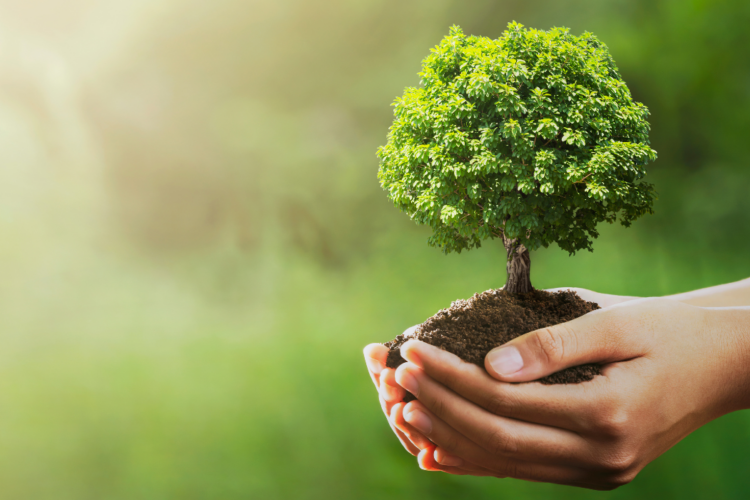 El plan articula el modo en que el Grupo BID integrará el capital natural en su trabajo, desde el diálogo que mantiene con los países hasta la preparación y ejecución de proyectos.