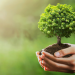 El plan articula el modo en que el Grupo BID integrará el capital natural en su trabajo, desde el diálogo que mantiene con los países hasta la preparación y ejecución de proyectos.