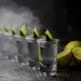 Del total de exportaciones en enero de este año, el 73% correspondió a la categoría tequila 100% de agave.- Fuente externa.