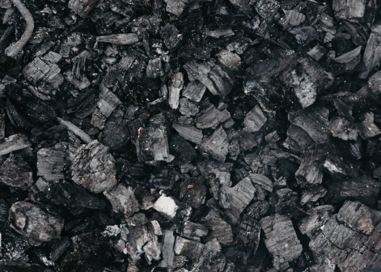 Carbón. | Canva.