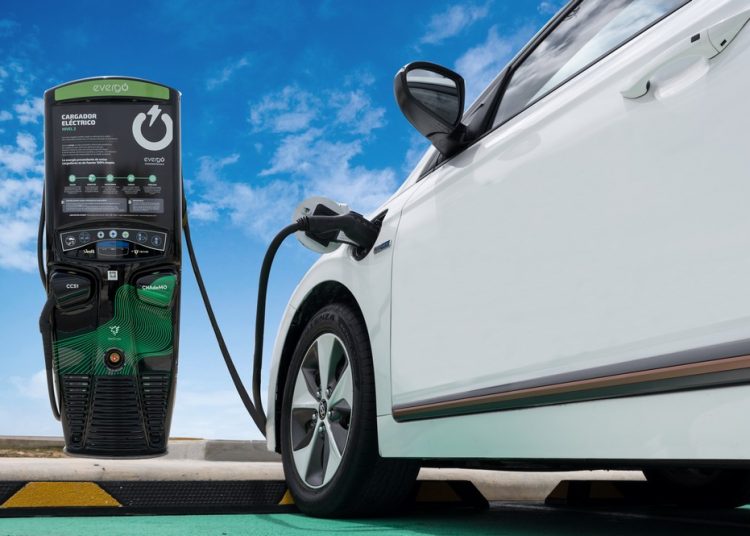 Cargador Evergo