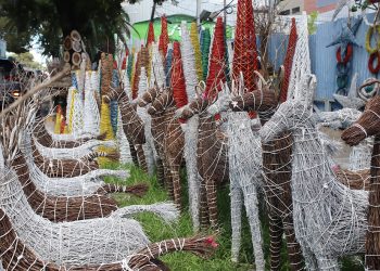 De Jesús, de 69 años edad, narra que emprendió este negocio en 1981, en la avenida Abraham Lincoln. - Ronny Cruz.