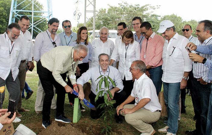 codevi siembra arbol
