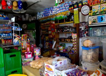 La “Encuesta de Micronegocios en la República Dominicana. Análisis de la economía informal con énfasis en los sectores comercio y servicios” recopiló datos de más de mil negocios del Distrito Nacional y de la provincia Santo Domingo. - Fuente externa.