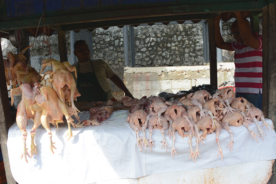 comerciantes de los mercados 11