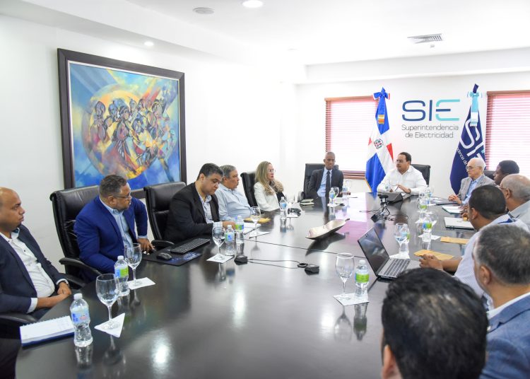 El comité de fallas del SENI esta integrado por MEM, la SIE, el OC, la ETED y otras ⁠empresas distribuidoras.