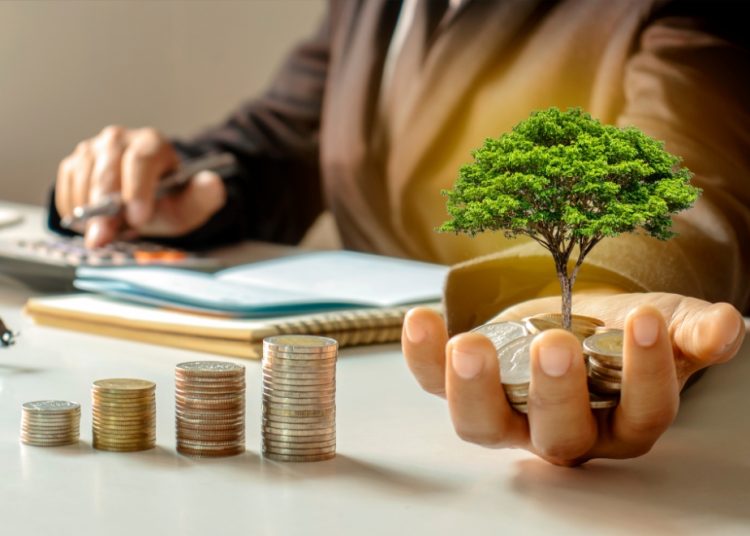 Las "alianzas multiactor", que incluyen la cooperación internacional, se han convertido en un pilar fundamental para impulsar el desarrollo local a través de préstamos y donaciones. | Canva