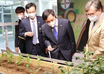 Corea del Sur e IICA