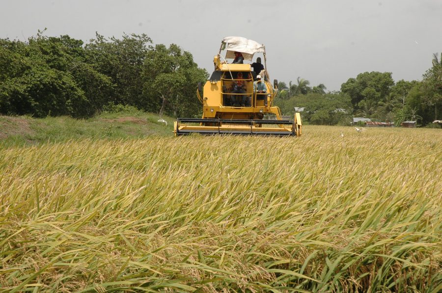 El ministro Ángel Estévez dijo que se está cumpliendo con los parámetros para una producción de calidad.