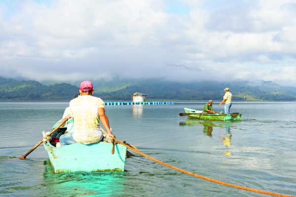 Pesca criadero de peces Hatillo