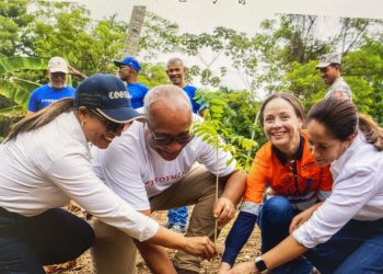 Cristiana Rodriguez de Alba, Miguel Díaz, Megan Tibbals, Yosy Contreras. | Fuente externa.