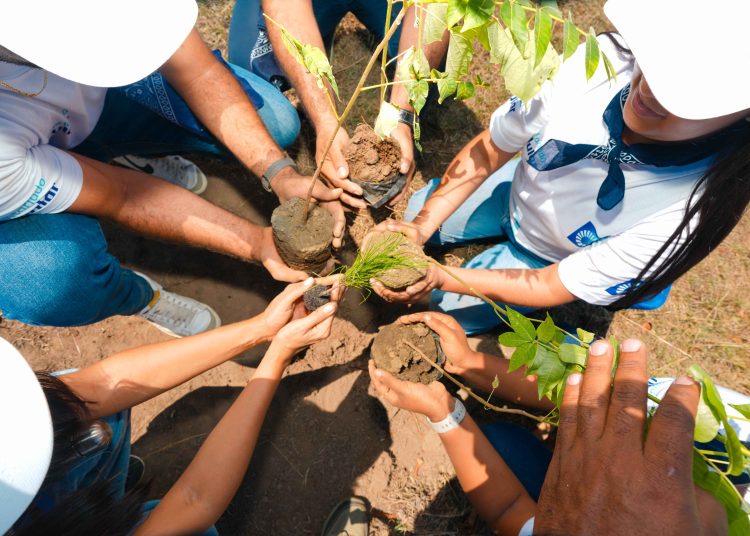 El Popular ha otorgado más de RD$3,000 millones en productos financieros verdes y sembrado 1.3 millones de árboles en 17,000 tareas.