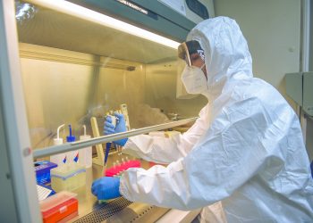 Procesamiento de Pruebas PCR, Unibe