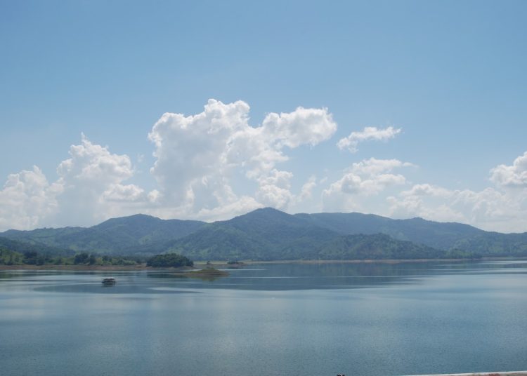 "La presencia de ciertos tipos de algas y bacterias fotosintéticas puede resultar tóxica para peces y otras especies, cuando hay floraciones", indicó la funcionaria. - Fuente externa.