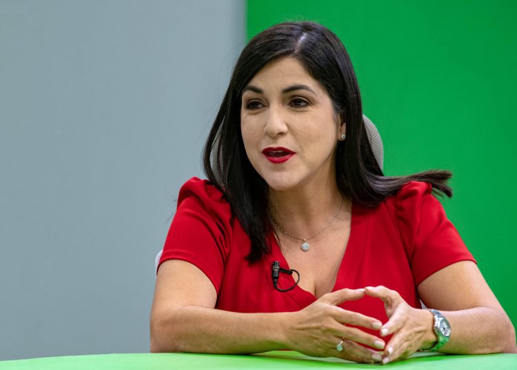 Biviana Riveiro, directora ejecutiva del Centro de Exportación e Inversión de la República Dominicana (ProDominicana). - Fuente externa.