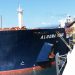 Algoma Value.
