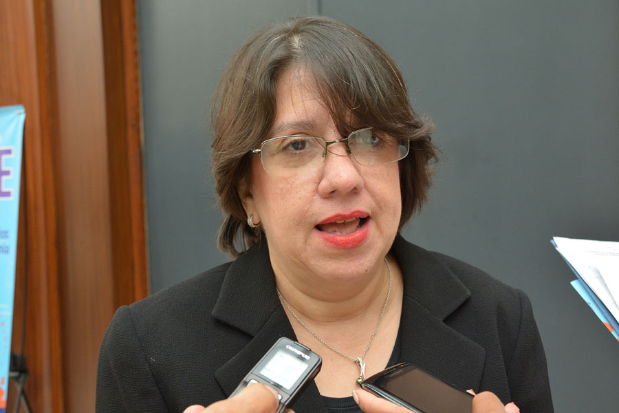 Taiana Mora Ramis, presidente de la Cámara Holandesa de Comercio, durante la  apertura del seminario Oportunidades de Negocios con el Caribe Holandes./LÉSTHER ÁLVAREZ