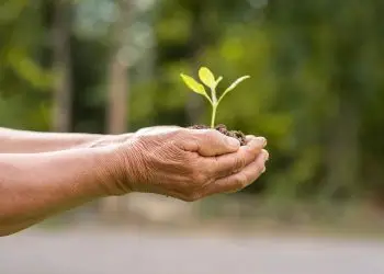 Cuidar el medioambiente ya no debe ser una opción, sino un compromiso de todos.
