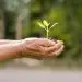 Cuidar el medioambiente ya no debe ser una opción, sino un compromiso de todos.