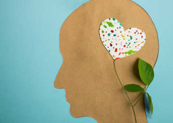 Salud mental - Fuente externa.