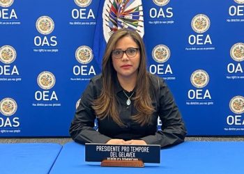 Directora general de la Unidad de Análisis Financiero (UAF), Aileen Guzmán Coste. Fuente externa.