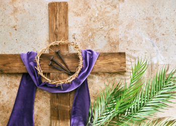 Domingo de ramos semana santa