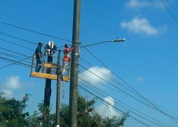 Edesur indica que desmantelaron varias naves conectadas de manera ilegal a la red eléctrica.