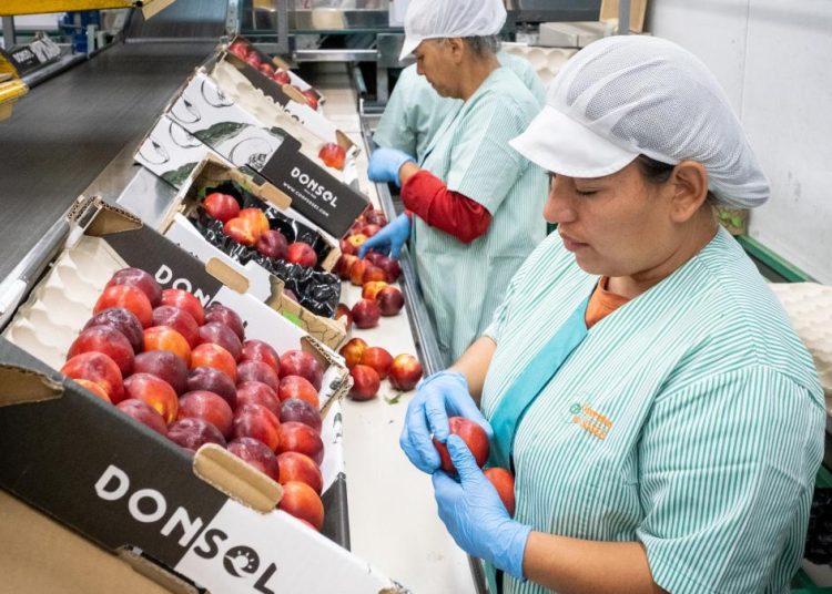 La aportación de los trabajadores extranjeros al crecimiento de la afiliación en el último año es muy positiva.