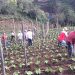 Ecotutores