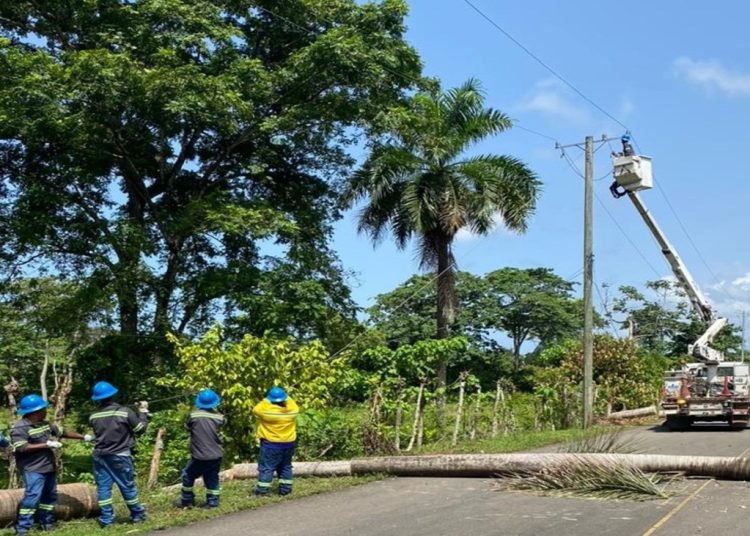 Durante los disturbios, según Edeeste, fueron derribados varios árboles que afectaron postes eléctricos y varios tramos de líneas de media tensión.