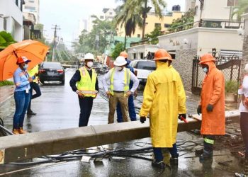 Edesur tormenta laura