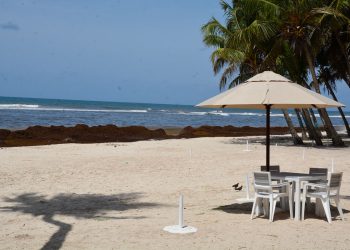 Sargazo en playa Guayacanes - Lésther Álvarez.