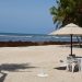 Sargazo en playa Guayacanes - Lésther Álvarez.