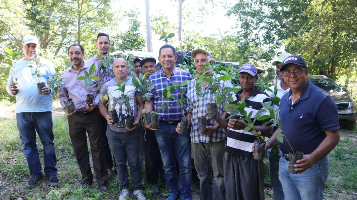 el director de la dgdf, miguel bejaran encabeza entrega de plantas