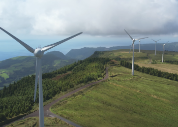 La ABA recordó que las finanzas verdes digitales implican la promoción de productos y servicios financieros. | Fuente externa.