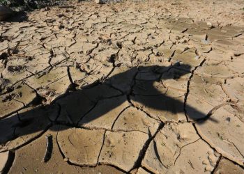 Erosión del suelo. | Fuente externo.