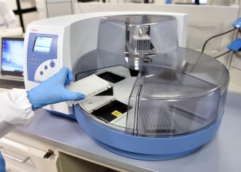 Los autores midieron el aumento de los anticuerpos contra la proteína nucleocápside (abundante en el coronavirus) para cada coronavirus estacional y consideraron cada aumento de anticuerpos como una nueva infección. | Alessandro Di Marco, EFE.