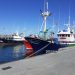 Barcos pesqueros en el puerto de Bermeo (Bizkaia)
EUROPA PRESS
(Foto de ARCHIVO)
07/10/2021