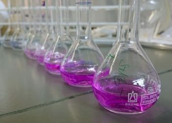 Frascos usados en laboratorios
PIQSELS. - Europa Press. 
(Foto de ARCHIVO)
04/11/2021