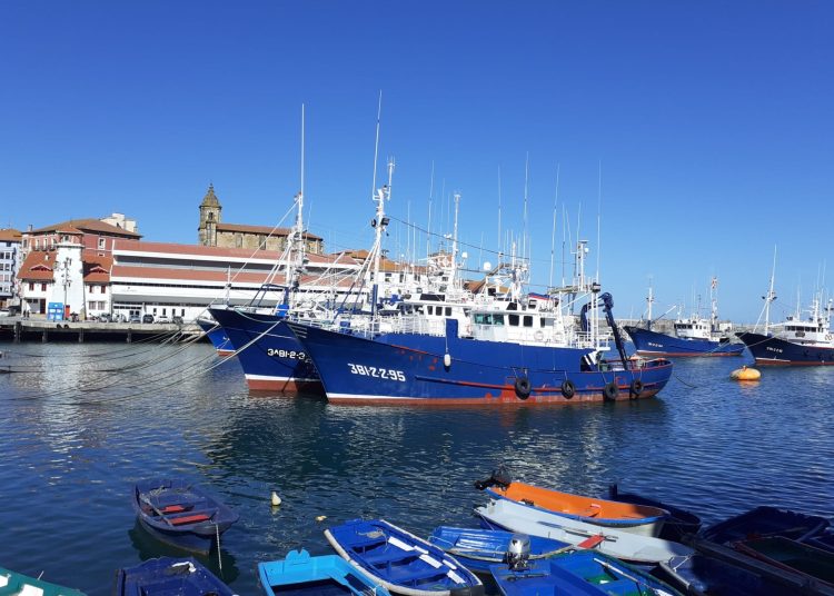 Pesca.- La UE llega a un acuerdo con Reino Unido para las posibilidades de pesca de 2022