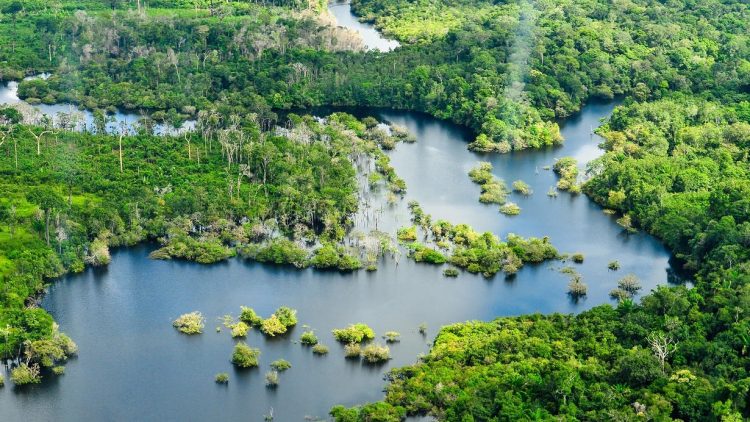 Vista aérea de la selva amazónica, cerca de Manaus, la capital del estado brasileño de Amazonas.
NEIL PALMER/CIAT
(Foto de ARCHIVO)
11/4/2022