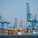 Contenedores exportaciones